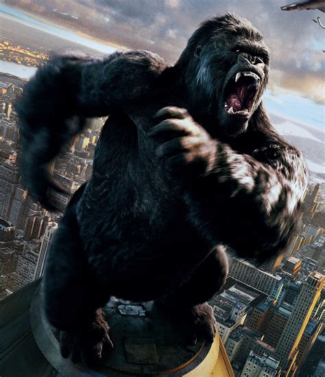 3gp kong com|King Kong Videos, Download The BEST Free 4k Stock Video.